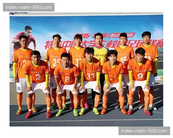 文化观察：巴里队升级，如何点燃了整个普利亚大区的足球热情