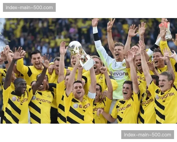 经济影响分析:多特蒙德欧冠出局对俱乐部赛季财政收入的影响评估 经济影响分析:多特蒙德欧冠出局对俱乐部赛季财政收入的影响评估